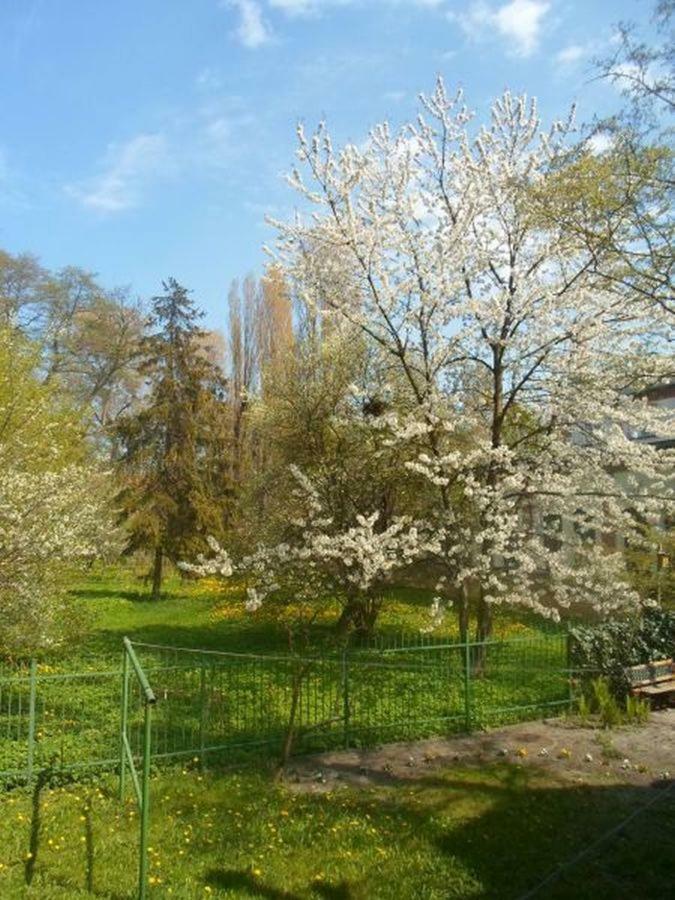 Apartament 100M Od Morza Zoppot Exterior foto